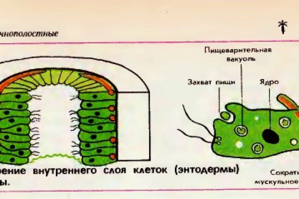 Какая ссылка у кракена