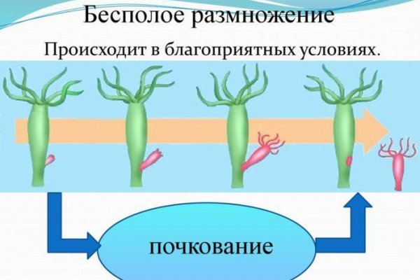 Кракен маркетплейс ссылка телеграмм