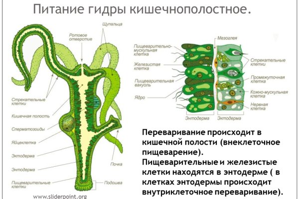 Кракен ссылка орион