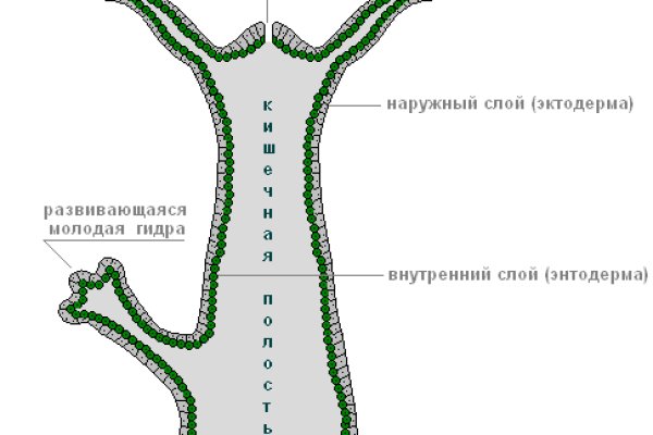 Зеркала на кракен kraken014 com